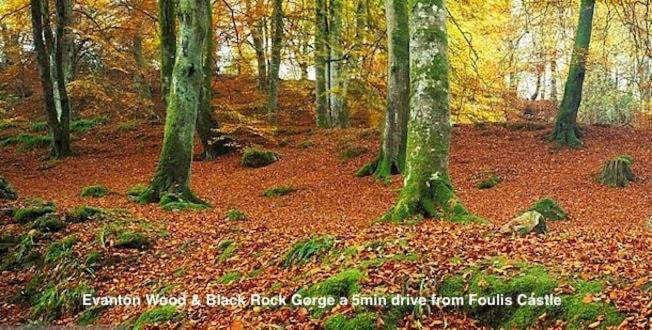 Foulis Castle Gate Lodge Evanton ภายนอก รูปภาพ